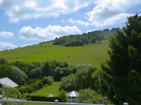 Beautiful Apartment in Willingen with a Balcony